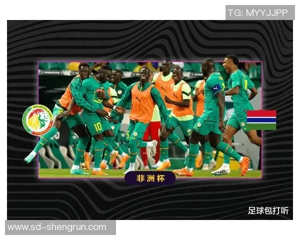 塞内加尔足球明星身价分析与市场价值趋势探讨