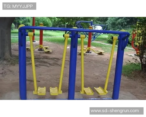 公园健身器材大揭秘让你在自然中畅享健康生活