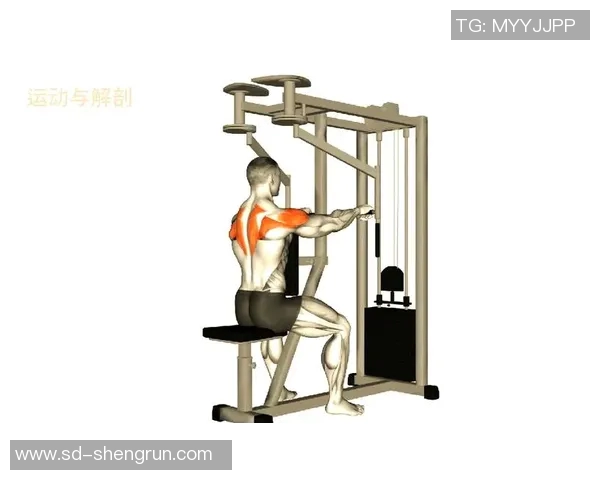 广州速八体育减肥训练营健身俱乐部助你轻松塑形实现健康生活新目标